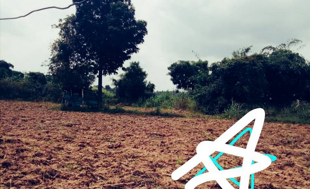 ใกล้ปีใหม่ดูทรัพย์มีมูลค่า ขายที่สวยติดแม่น้ำน่าน ชุมแสง  จ.นครสวรรค์ 300000 บาท.วิวแม่น้ำเกษตรดีงามสวยสมบูรณ์