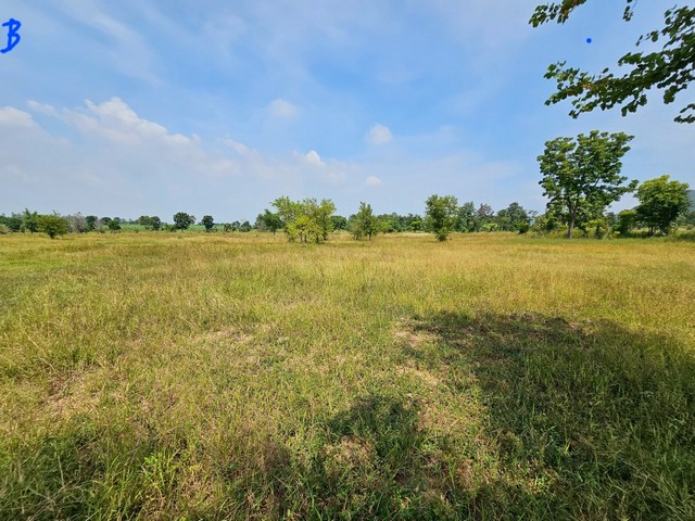 ขายที่ดิน ลำสนธิ-ลพบุรี ตำบลลำสนธิ อำเภอลำสนธิ  จังหวัดลพบุรี