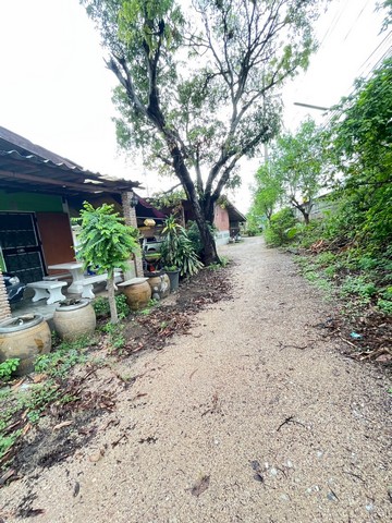 ขาย ที่ดินเพื่อการพาณิชย์ 5 ไร่ 21 ตรว. จ.ชลบุรี ศรีราชา