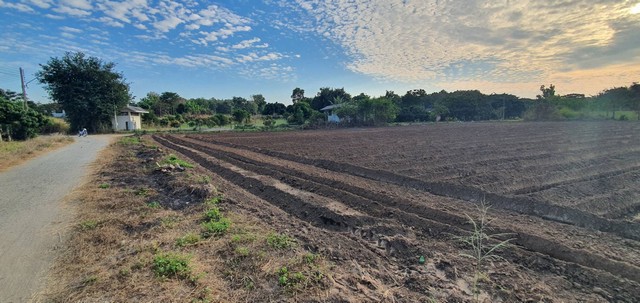 ขายที่ดิน 1-2-4ไร่ 1.51ล้านบาท วิวเขา แปลงมุม ถนน น้ำ ไฟ ต.ทุ่งปี้ อ.แม่วาง เชียงใหม่