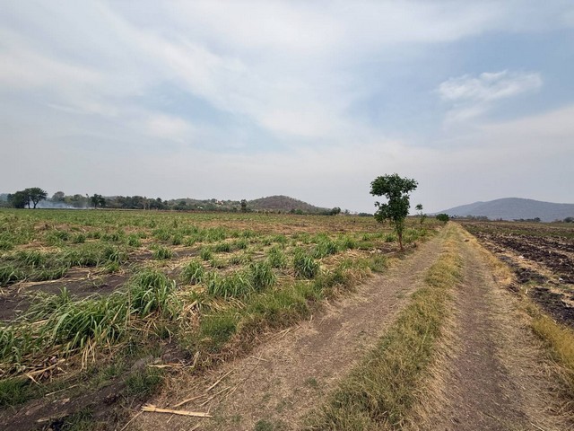 ขายที่ดินอำเภอตากฟ้า จังหวัดนครสวรรค์ เนื้อที่ 31 ไร่ 2 งาน 86 ตารางวา