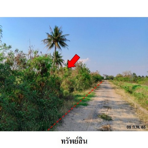 ขายที่ดินว่างเปล่า ถนน เลี่ยงเมืองนครราชสีมา (ทล.204) ตำบล หมื่นไวย อำเภอ เมืองนครราชสีมา จังหวัด นครราชสีมา