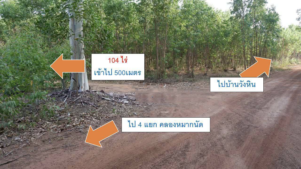 ที่ดินแปลงใหญ่ 104 ไร่ – โอกาส Mega Project จ.สระแก้ว อ.เมือง ต.บ้านแก้ง
