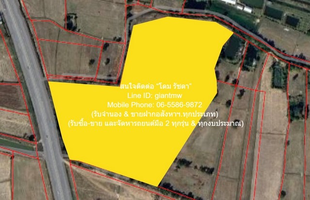 DSL-1117 ขาย ที่ดิน ขายที่ดินเปล่าติดถนน 4 เลน อ.พยัคฆภูมิพิสัย จ.มหาสารคาม 36-1-50 ไร่ ราคา 18187500 บาท  มหาสารคาม    พยัคฆภูมิพิสัย