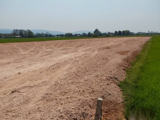 ขายที่ดินเริ่ม 1งาน 300000บ. ผ่อนได้ ถมดิน ถนน น้ำ ไฟฟ้า ต.จอมหมอกแก้ว อ.แม่ลาว เชียงราย