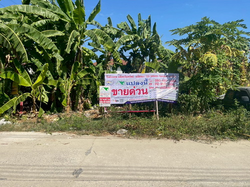 ขายที่ดินเปล่า 119 ตร.ว. แปลงสี่เหลี่ยมสวย ซอยคลองหลวง33 ต.คลองหนึ่ง อ.คลองหลวง จ.ปทุมธานี