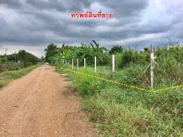 ขายที่ดินเปล่า คลอง 4  พื้นที่ 1-1-38 ไร่ ต.คลองสี่ อ.คลองหลวง จ.ปทุมธานี