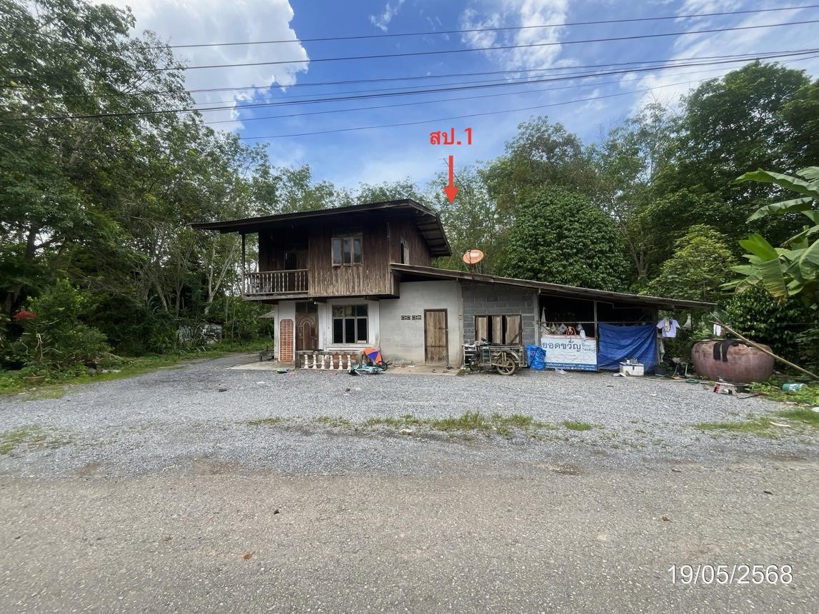 ขาย บ้านเดี่ยว สุราษฎร์ธานี อำเภอ กาญจนดิษฐ์ จังหวัด สุราษฎร์ธานี