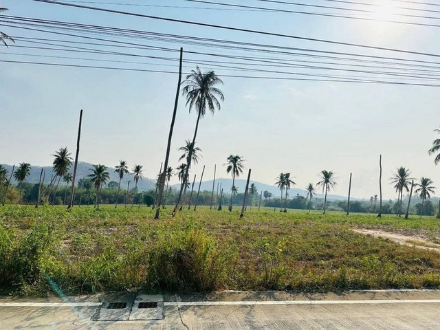 ขายที่ดินแปลงสวยหุบบอน เขาคันทรง ศรีราชา ชลบุรี FP-L01607