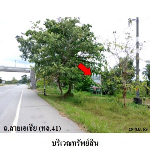 ขายที่ดินว่างเปล่า ถนน เอเชีย (ทล.41) ตอนไชยา-พุนพิน ตำบล เลม็ด อำเภอ ไชยา จังหวัด สุราษฎร์ธานี