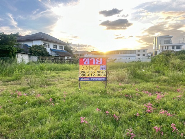 ขายที่ดิน 231 ตารางวา  ซอยนารถมนตเสวี12  ถนนพระยาสัจจา   เมืองชลบุรี    ZT864