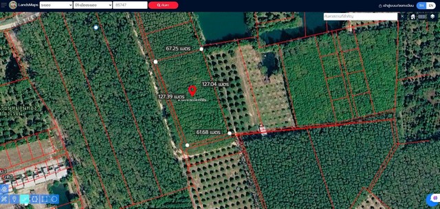 ขายยกแปลงสวนยางพารา ทำเลศักยภาพ ต.บ้านแลง อ.เมือง จ.ระยอง