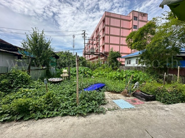 ขายด่วน ที่ดินเปล่า 59 ตร.วา ซอยพิบูลสงคราม 22 - ซอยวัดกำแพง ราคาถูก