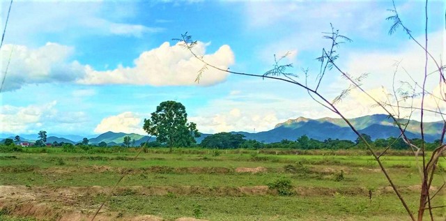 ขายที่ดินที่นา 365ตรว. 700000บ. วิวเขา ถนน น้ำ ไฟฟ้า หลังที่ว่าการอำเภอ ต.บ้านธิ อ.บ้านธิ ลำพูน