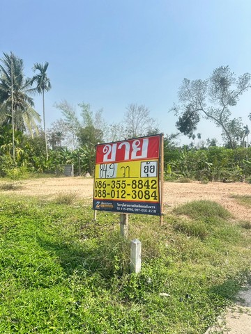 ขายที่ดิน   84.9 ตารางวา  ตำบลตาขัน  บ้านค่าย ระยอง