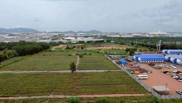 ให้เช่าที่ดิน ขายที่ดินปลวกแดงระยอง ที่ดินให้เช่า 26 ไร่ ที่ดินขาย 30 ไร่ พื้นที่สีม่วงลาย