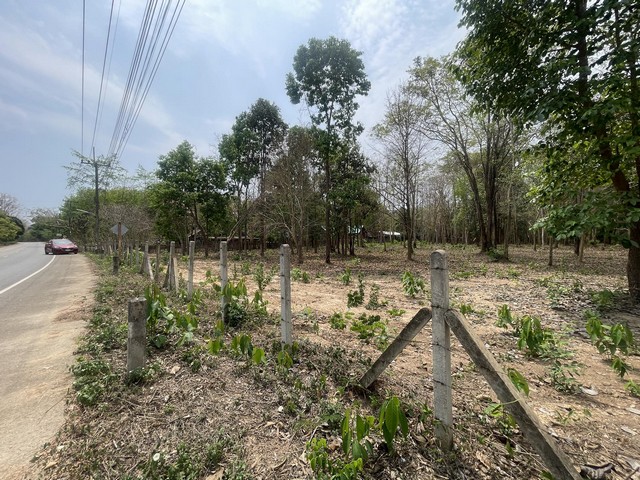 ที่ดินใกล้สนามบินน่านร่มรื่นด้วยไม้ยืนต้นเหมาะทำบ้านสวนรีสอร์ทหรือเกร็งกำไรทำเลดี