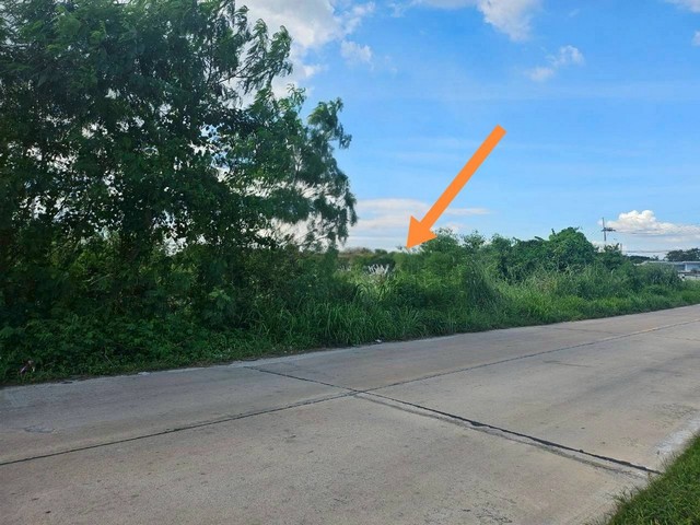 ขายที่ดินบ้านบึงชลบุรี ขายที่ดินบ้านบึงชลบุรีใกล้ถนน344 พื้นที่สีเหลือง หนองชาก บ้านบึง  ชลบุรี ✴️บนเนื้อที่  5-1-75  ไร่