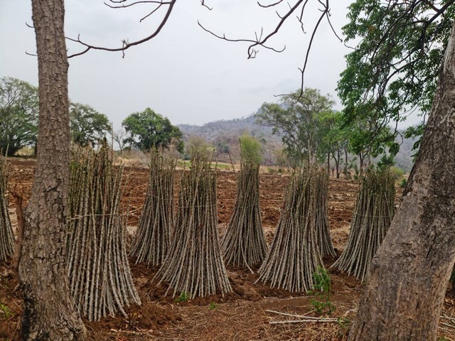 บอกขายที่ดินทำเลดีราคาคุยได้  ที่ดินติดภูเขา ต.พระนอน อ.เมือง จ.นครสวรรค์ วิวสวยมากๆๆ 5ไร่เศษ โทร 096-882-1857