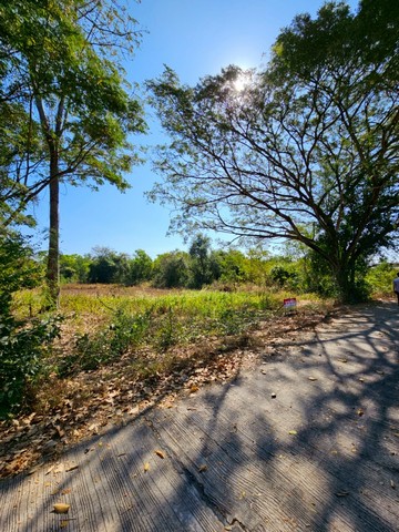 ขายที่ดินสวย วิวธรรมชาติ เนื้อที่ 2 งาน 26 ตารางวา จังหวัดอุดรธานี