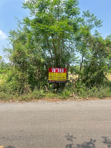 ขายที่ดิน  6-3-28 ไร่  ซอยองค์การบริหารส่วนจังหวัดนครนายก   บางสมบูรณ์   องครักษ์