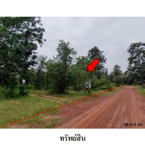 ขายที่ดินว่างเปล่า ถนน สายชัยภูมิ-หนองบัวแดง (ทล.2159) ตำบล โคกสูง อำเภอ เมืองชัยภูมิ จังหวัด ชัยภูมิ