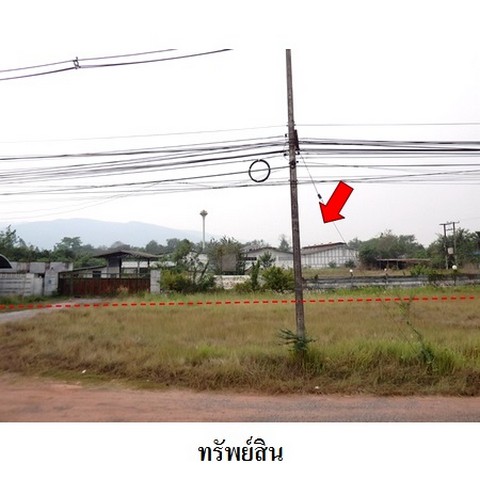 ขายโรงงาน/โกดัง ถนน มะลิวัลย์ (ทล.201) ตำบล ผานกเค้า อำเภอ ภูกระดึง จังหวัด เลย