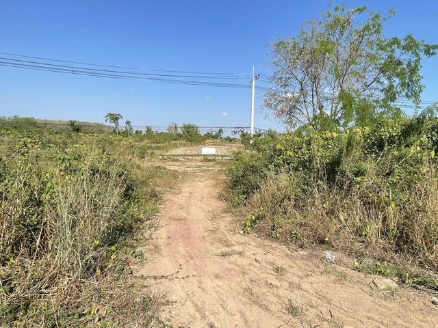 ที่ดินแปลงใหญ่ ใกล้แม่น้ำโขง บึงกาฬ เนื้อที่รวม 16 ไร่ 1 งาน 81.6 ตร.ว.