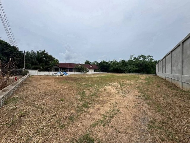 ขายที่ดินพัทยา มาบประชัน 226 ตร.วา ที่ดินสวย ไม่ต้องถม ติดถนนคอนกรีต TP-L1970