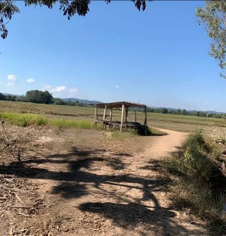 ขายที่ดินเปล่า ราคาถูกใกล้หมู่บ้านสันติธรรม อำเภอพญาเม็งราย จังหวัดเชียงราย เนื้อที่ 11 ไร่ 36 ตารางวา