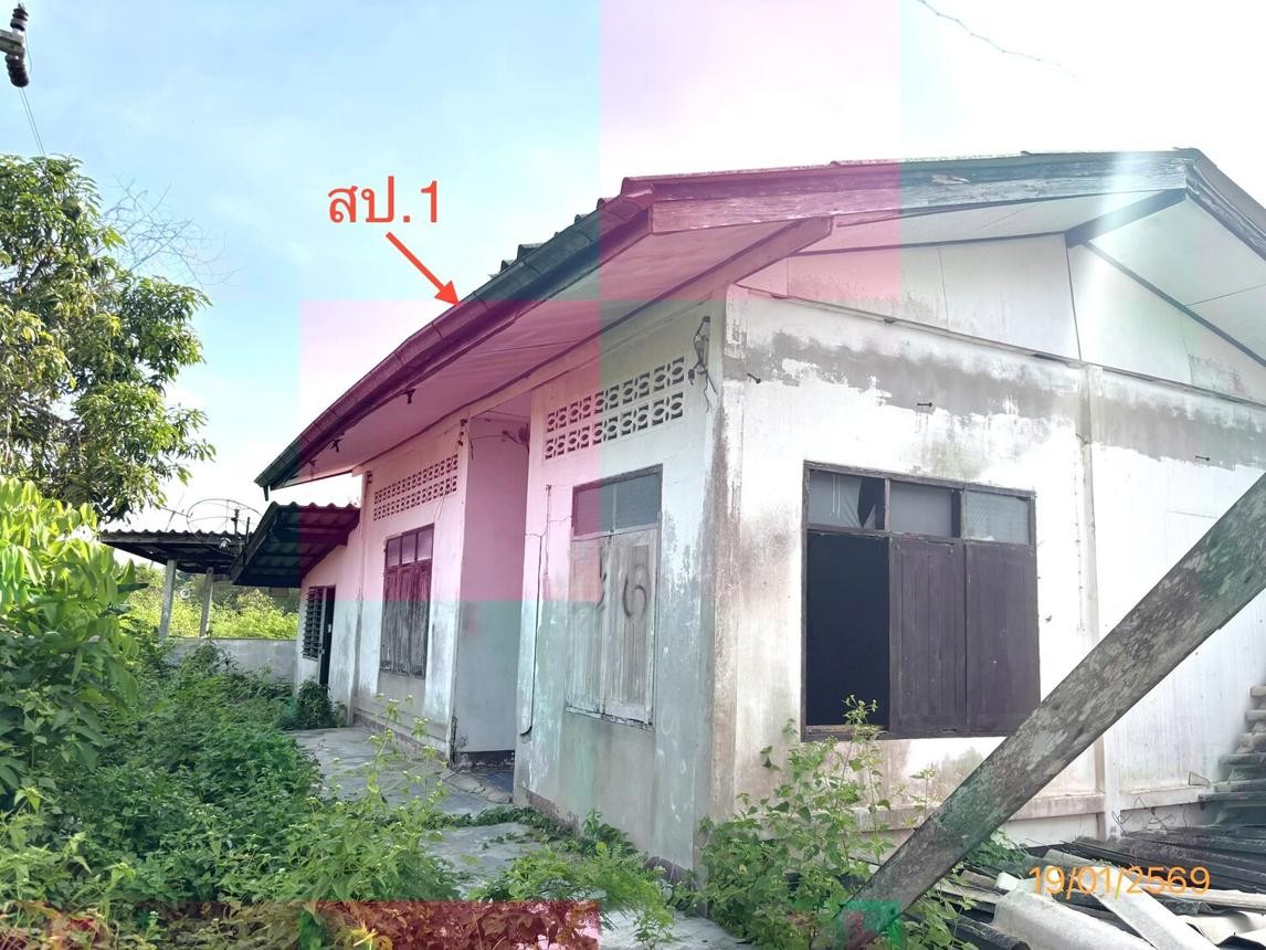 ขาย บ้านเดี่ยว สุราษฎร์ธานี  อำเภอ กาญจนดิษฐ์ จังหวัด สุราษฎร์ธานี