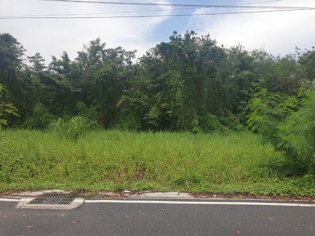 ทด200วาคลอง8 ขายด่วน! พื้นที่ดิน - ใหญ่ 0 RAI 0 ngan 200 sq.wa 10000 บาท.   ทำเลสวย