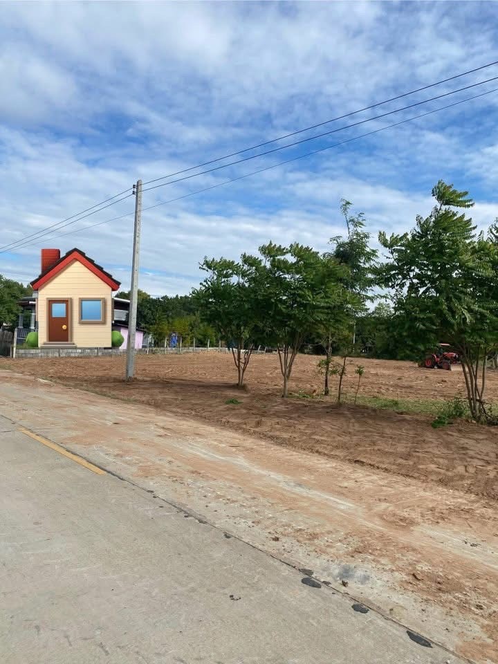 ขายที่ดินเปล่า โฉนด 1 ไร่  หลัง รพ.บัวใหญ่ต.บัวใหญ่ อ.บัวใหญ่ จ.นครราชสีมา