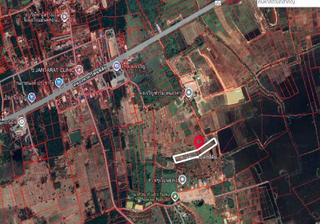 ที่ดินอำเภอเมืองหนองคาย แปลงสวย งบเบา น่าซื้อเก็บ 7 ไร่ 3 งาน 91 ตารางวา