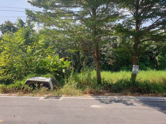 รหัส:  ทดคุณต้นคลอง8 ต้องการขาย ที่ดิน - ไม่ไกลจาก – บิ๊กซี  – โลตัส  – ดูโฮม  – วัดอัยยิการาม  – ตลาดต้นไม้ คลอง 9  – โรงเรียนสารสาสน์วิเทศรังสิต คลอง 7  – โรงเรียนจุฑารัตน์วิทยา  – โรงเรียนวัดอัยยิการาม  – โรงพยาบาลธัญบุรี  – โรงพยาบาลคลองหลวง  – โ