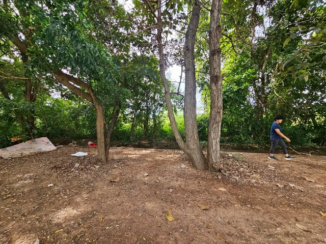 ขายที่ดิน 2ไร่ 2 งาน 42 ตารางวา ใกล้มหาวิทยาลัยมหาสารคาม