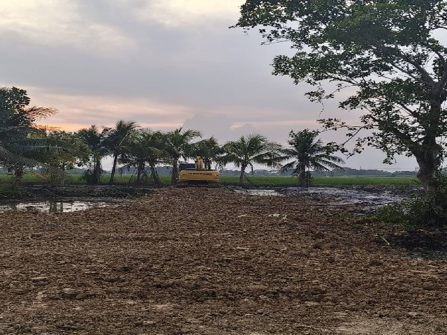 ขายที่ดิน เนื้อที่ 2 ไร่ สวนเกษรถูกมาก รูปทรงที่ดินสวย คลองสิบสอง หนองจอก