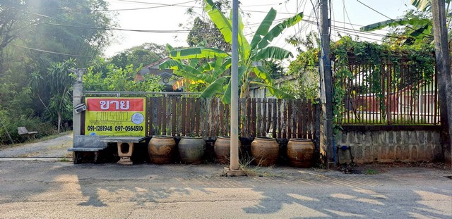 ขายที่ดิน พร้อมสิ่งปลูกสร้าง เนื้อที่ 154 ตารางวา เมืองชัยภูมิ  ติดถนน 2 เลน (นิเวศรัตน์-ปรางค์) ห่างจากโบราณสถานปรางค์กู่ 200เมตร    ZJ189