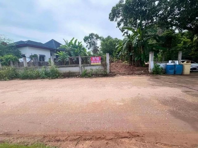 ทะเล ก็แค่ปากซอย ขายด่วน ที่ดิน ตรงข้าม Sunflower Residence หาดแหลมแม่พิมพ์ แกลง ระยอง 2.6 ลบ. ฟรีโอน