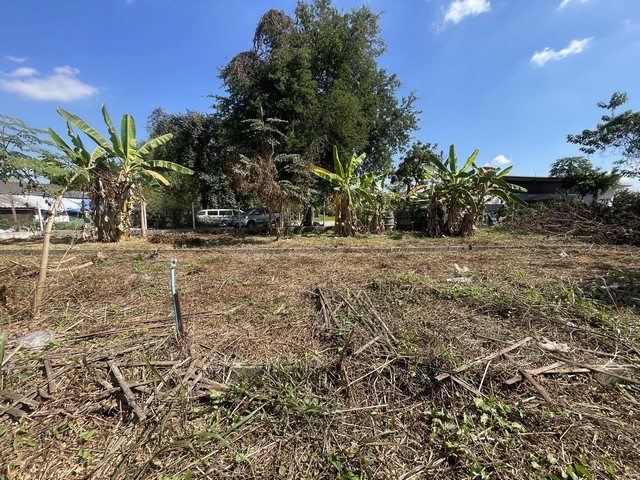 ขายที่ดินทำเลดี ใกล้แยกเจริญเจริญเพียง 2 กม. ที่ดิน 200 วาติดถนน 3 ด้าน