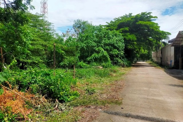 ขายที่ดิน ซอยท่ามะนาว 15 ถนนท่ามะนาว  อำเภอชัยบาดาล จังหวัดลพบุรี