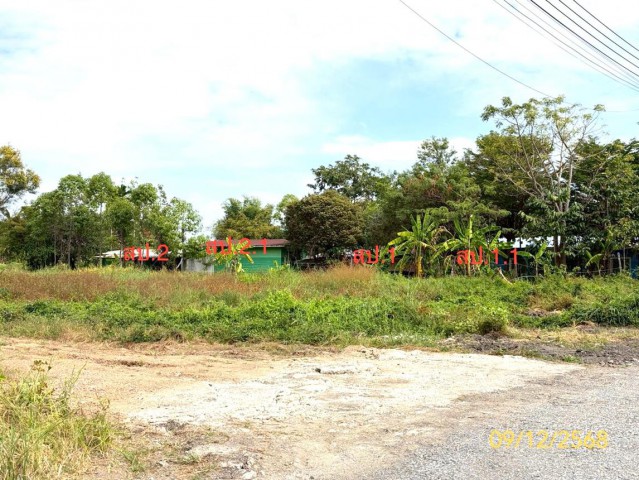 ขายบ้านเดี่ยวปทุมธานี โครงการ กนกกุล อำเภอหนองเสือ    ถนน เลียบคลอง 14 ฝั่งตะวันตก