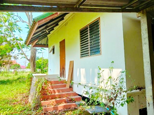 บ้านพร้อมที่ดินใหญ่ที่สุดในโลก 6 ไร่  4นอน 3น้ำ ใกล้ถนนเชียงใหม่ ฝาง ตลาดแม่มาลัย 1กม. แม่แตง เชียงใหม่