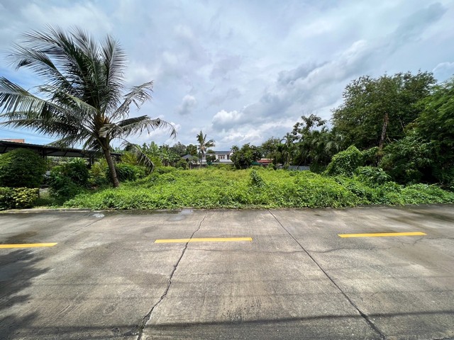 ขายที่ดินเปล่า เนื้อที่ 203 ตารางวา ซอยนนทบุรี 42 ตรงข้าม สำนักงานสลากกินแบ่งรัฐบาล