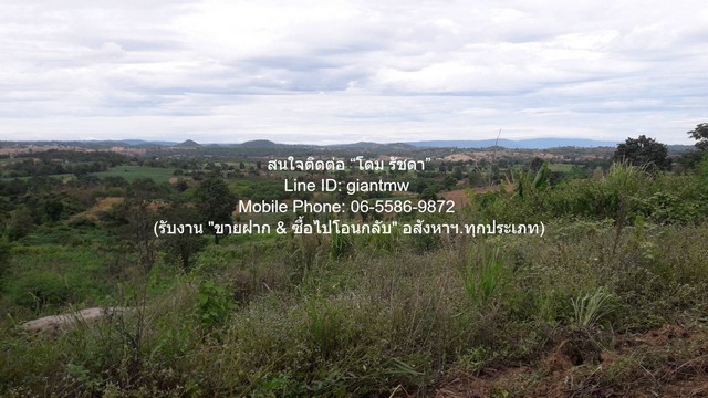 ที่ดิน ขายที่ดินบนเนินเขา 10-1-5 ไร่ (ใบอ่อน: ส.ป.ก./สร.5 ก.) วังน้ำเขียว นครราชสีมา ราคา 4500000 บาท (โอนฟรี)  4500000 THB   เดินทางง่าย นครราชสีมา