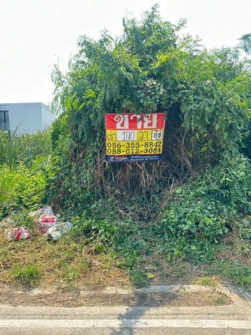 ให้เช่าที่ดิน 100 ตารางวา  ซอยศรีด่าน22  พัฒนาชุมชน25  รถไฟฟ้าศรีลาซาล  แบริ่ง   ZT892