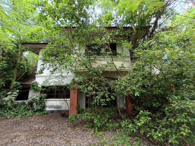 ขายบ้านเดี่ยว  ถนนสายบ้านดู่-น้ำตกโปร่งพระบาท อำเภอเมืองเชียงราย  เชียงราย