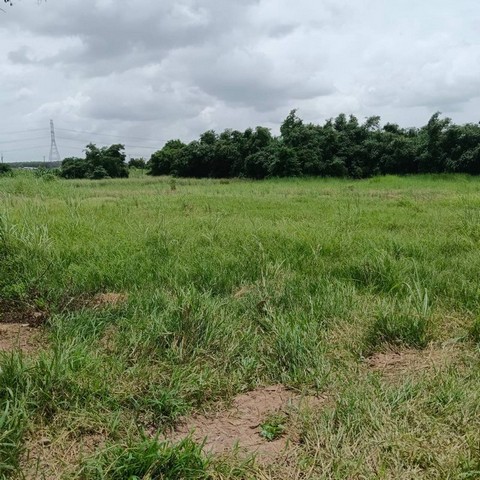 ขายที่ดินเขาคันทรง ศรีราชา ติดนิคมโรจนะ แปลงสวย ราคาดี FP-L01595