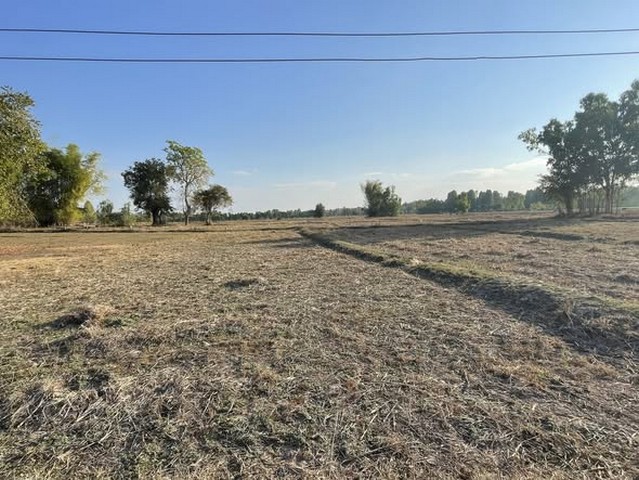 ที่ดินแปลงใหญ่ ทำเลอนาคต หนองคาย เนื้อที่ 19 ไร่ 1 งาน 42 ตารางวา