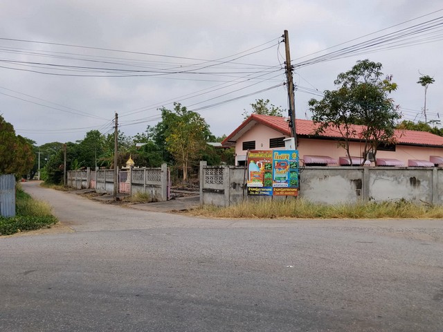 ขายบ้านพร้อมที่ดิน อำเภอหนองบัว จังหวัดนครสวรรค์ เนื้อที่ 1ไร่ 9 ตรว.